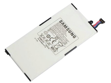 SAMSUNG SP4960C3A Batterie