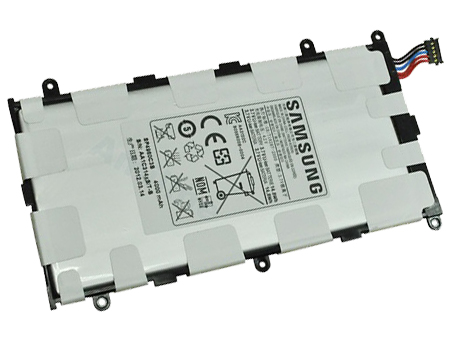 SAMSUNG SP4960C3B Batterie